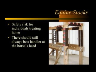 Equine Stocks Safety risk for individuals treating horse There should still always be a handler at the horse’s head 