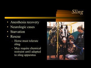 Sling Anesthesia recovery Neurologic cases Starvation Rescue Horse must tolerate sling May require chemical restraint until adapted to sling apparatus 
