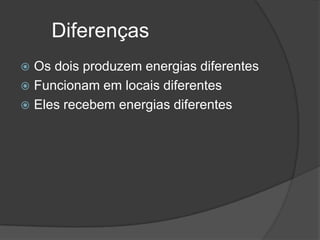 Diferenças
Os dois produzem energias diferentes
 Funcionam em locais diferentes
 Eles recebem energias diferentes


 