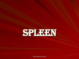 Spleen 