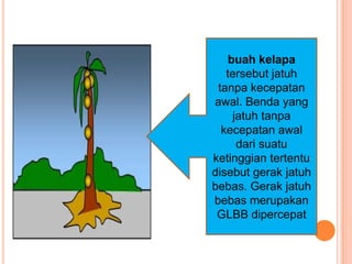 buah kelapa
tersebut jatuh
tanpa kecepatan
awal. Benda yang
jatuh tanpa
kecepatan awal
dari suatu
ketinggian tertentu
disebut gerak jatuh
bebas. Gerak jatuh
bebas merupakan
GLBB dipercepat

 
