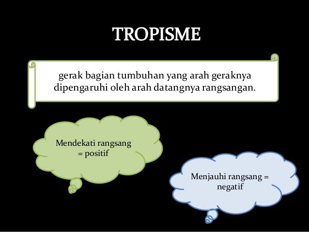 Gerak pada tumbuhan,