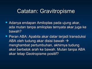 Catatan: Gravitropisme
   Adanya endapan Amiloplas pada ujung akar,
    ada mutan tanpa amiloplas ternyata akar juga ke
    bawah?
   Peran ABA: Apabila akar datar terjadi transduksi
    ABA oleh tudung akar disisi bawah 
    menghambat pertumbuhan, akhirnya tudung
    akar berbelok arah ke bawah. Mutan tanpa ABA
    akar tetap Geotropisme positif?
 