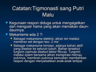 Catatan:Tigmonasti sang Putri
                    Malu
   Kegunaan respon diduga untuk mengagetkan
    dan mengusir hama yang akan memakan daun-
    daunnya.
   Mekanisme ada 2 ?:
       Sebagai mekanisme elektris: aliran ion melalui
        membran sel dengan kec. 2 ms-1
       Sebagai mekanisme kimiawi, adanya bahan aktif
        yang disebar ke seluruh tubuh. Bahan tersebut
        turgorin (semula disebut faktor Ricca). Turgorin
        melalui xylem bersama aliran transpirasi menuju
        pulvinus, membran pulvinus kemudian memberikan
        respon dengan menyebabkan anak-anak terlipat.
 