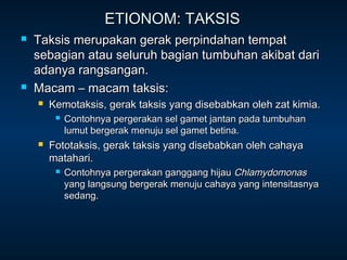 ETIONOM: TAKSIS
   Taksis merupakan gerak perpindahan tempat
    sebagian atau seluruh bagian tumbuhan akibat dari
    adanya rangsangan.
   Macam – macam taksis:
       Kemotaksis, gerak taksis yang disebabkan oleh zat kimia.
            Contohnya pergerakan sel gamet jantan pada tumbuhan
             lumut bergerak menuju sel gamet betina.
       Fototaksis, gerak taksis yang disebabkan oleh cahaya
        matahari.
            Contohnya pergerakan ganggang hijau Chlamydomonas
             yang langsung bergerak menuju cahaya yang intensitasnya
             sedang.
 