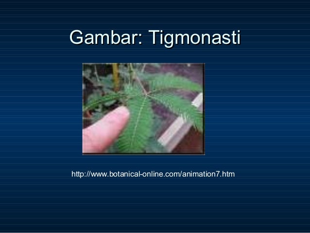 Gerak Pada Tumbuhan