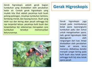 Gerak higroskopis adalah gerak bagian
tumbuhan yang disebabkan oleh perubahan
kadar air. Contoh gerak higroskopis yang
mudah kita lihat adalah pecahnya kulit buah
polong-polongan, misalnya tumbuhan lamtoro,
kembang merak, dan kacang buncis. Buah yang
telah tua dan kering akan pecah sehingga biji
nya terpental keluar. pecahnya kulit buah dan
terpentalnya biji sebenarnya merupakan cara
tumbuhan tersebut memencarkan
keturunannya.
Gerak Higroskopis
Gerak higroskopis juga
terjadi pada membukanya
kotak spora (sporangium)
tumbuhan paku dan lumut
untuk mengeluarkan spora.
Jadi, gerak higroskopis tidak
dipengaruhi oleh
rangsangan dari luar, tetapi
disebabkan oleh perubahan
kadar air secara terus
menerus. Akibatnya, kondisi
menjadi sangat kering pada
kulit buah atau kotak spora
sehingga kulit biji atau kotak
spora pecah
 