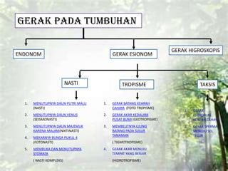 1. MENUTUPNYA DAUN PUTRI MALU
(NASTI)
2. MENUTUPNYA DAUN VENUS
(SEISMONASTI)
3. MENUTUPNYA DAUN MAJEMUK
KARENA MALAM(NIKTINASTI)
4. MEKARNYA BUNGA PUKUL 4
(FOTONASTI)
5. MEMBUKA DAN MENUTUPNYA
STOMATA
( NASTI KOMPLEKS)
1. GERAK BATANG KEARAH
CAHAYA (FOTO TROPISME)
2. GERAK AKAR KEDALAM
PUSAT BUMI (GEOTROPISME)
3. MEMBELITNYA UJUNG
BATANG PADA SULUR
TANAMAN
( TIGMOTROPISME)
4. GERAK AKAR MENUJU
TEMPAT YANG BERAIR
(HIDROTROPISME)
1. GERAK
KLOROPLAS
KEARAH CAHAYA
2. GERAK SPERMA
MENUJU SEL
TELUR
NASTI TROPISME
GERAK PADA TUMBUHAN
GERAK ESIONOMENDONOM
GERAK HIGROSKOPIS
TAKSIS
 