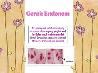 Merupakan gerak pada tumbuhan yang
disebabkan oleh rangsang yang berasal
dari dalam tubuh tumbuhan sendiri.
Contoh: Gerak aliran sitoplasma dalam sel.
Atau Gerak kromosom saat siklus sel
 