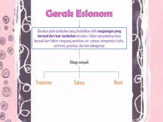 Gerakan pada tumbuhan yang disebabkan oleh rangsangan yang
berasal dari luar tumbuhan tersebut. Faktor penyebabnya bisa
berasal dari faktor rangsang sentuhan, air, cahaya, temperatur/suhu,
zat kimia, gravitasi, dan lain sebagainya.
Dibagi menjadi
NastiTropisme Taksis
 