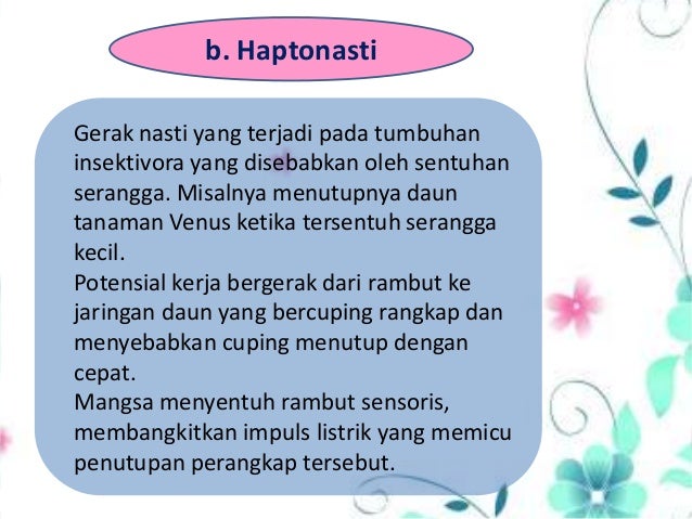 Gerak Pada Tumbuhan 36127117