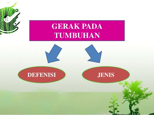 Gerak Pada Tumbuhan 36127117