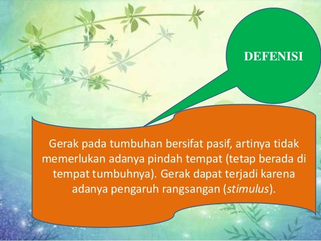 Gerak Pada Tumbuhan 36127117