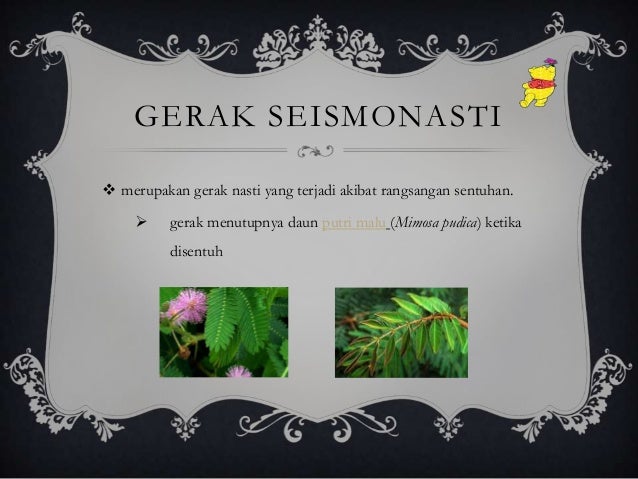 Gerak pada Tumbuhan