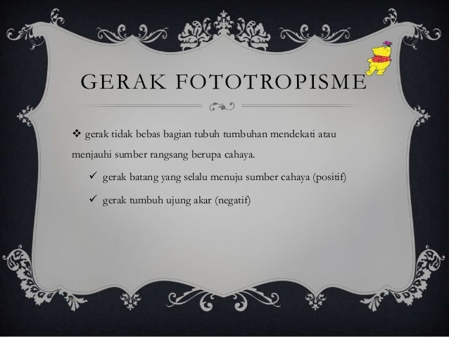 Gerak Pada Tumbuhan