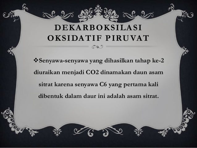 Gerak Pada Tumbuhan 30699846