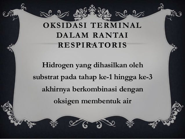 Gerak Pada Tumbuhan 30699846