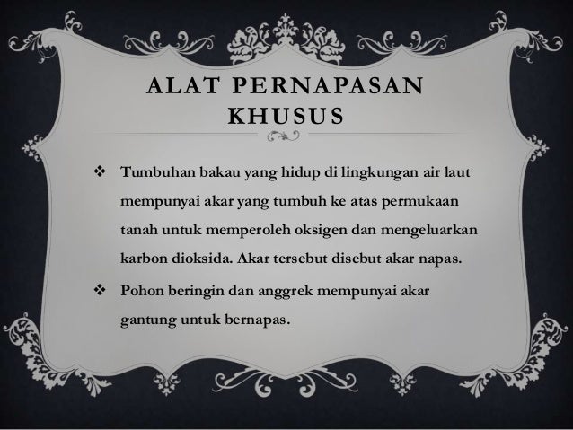 Gerak pada Tumbuhan
