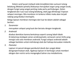 Sistem saraf pusat meliputi otak (ensefalon) dan sumsum tulang
belakang (Medula spinalis).Keduanya merupakan organ yang sangat lunak,
dengan fungsi yang sangat penting maka perlu perlindungan. Selain
tengkorak dan ruas-ruas tulang belakang, otak juga dilindungi 3 lapisan
selaput meninges. Bila membran ini terkena infeksi maka akan terjadi
radang yang disebut meningitis.
Ketiga lapisan membran meninges dari luar ke dalam adalah sebagai
berikut :
1. Durameter
merupakan selaput yang kuat dan bersatu dengan tengkorak.
2. Araknoid
disebut demikian karena bentuknya seperti sarang labah-labah.
Di dalamnya terdapat cairan serebrospinalis; semacam cairan limfa yang
mengisi sela sela membran araknoid. Fungsi selaput araknoid adalah
sebagai bantalan untuk melindungi otak dari bahaya kerusakan mekanik.
3. Piameter
Lapisan ini penuh dengan pembuluh darah dan sangat dekat
denganpermukaan otak. Agaknya lapisan ini berfungsi untuk memberi
oksigen dan nutrisi serta mengangkut bahan sisa metabolisme.
 