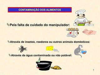 Pela falta de cuidado do manipulador: Através de insetos, roedores ou outros animais domésticos: Através da água contaminada ou não potável: CONTAMINAÇÃO   DOS ALIMENTOS 