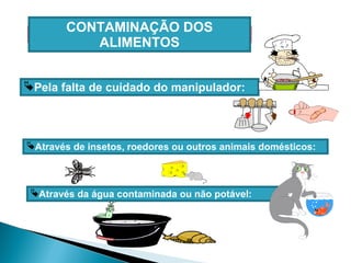 Pela falta de cuidado do manipulador:
Através de insetos, roedores ou outros animais domésticos:
Através da água contaminada ou não potável:
CONTAMINAÇÃO DOS
ALIMENTOS
 