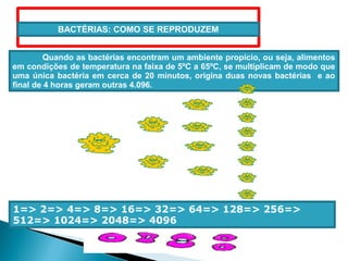 BACTÉRIAS: COMO SE REPRODUZEM
Quando as bactérias encontram um ambiente propício, ou seja, alimentos
em condições de temperatura na faixa de 5ºC a 65ºC, se multiplicam de modo que
uma única bactéria em cerca de 20 minutos, origina duas novas bactérias e ao
final de 4 horas geram outras 4.096.
1=> 2=> 4=> 8=> 16=> 32=> 64=> 128=> 256=>
512=> 1024=> 2048=> 4096
 