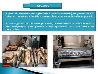 PESCADOS
A partir do momento que o pescado é capturado (morto), os germes de seu
intestino começam a invadir sua musculatura provocando a decomposição.
Portanto, para controle deste processo, deve-se manter o pescado sempre
sob refrigeração para garantir a boa qualidade para que possa ser
consumido.
 