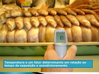 Temperatura e um fator determinante em relação ao
tempo de exposição e acondicionamento
 
