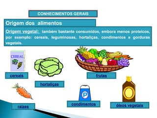 CONHECIMENTOS GERAIS
Origem dos alimentos
hortaliças
raízes
condimentos
frutascereais
óleos vegetais
Origem vegetal: também bastante consumidos, embora menos proteicos,
por exemplo: cereais, leguminosas, hortaliças, condimentos e gorduras
vegetais.
 