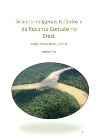 1
Grupos Indígenas Isolados e
de Recente Contato no
Brasil
Diagnóstico Institucional
Antenor Vaz
 