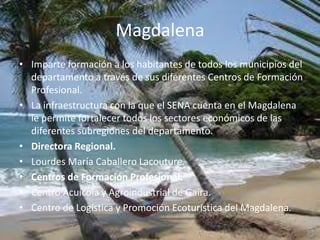 MagdalenaImparte formación a los habitantes de todos los municipios del departamento a través de sus diferentes Centros de Formación Profesional. La infraestructura con la que el SENA cuenta en el Magdalena le permite fortalecer todos los sectores económicos de las diferentes subregiones del departamento. Directora Regional.Lourdes María Caballero Lacouture.Centros de Formación Profesional.Centro Acuícola y Agroindustrial de Gaira.Centro de Logística y Promoción Ecoturística del Magdalena.