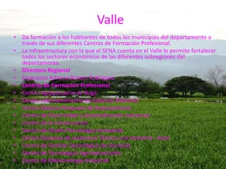  Valle Da formación a los habitantes de todos los municipios del departamento a través de sus diferentes Centros de Formación Profesional. La infraestructura con la que el SENA cuenta en el Valle le permite fortalecer todos los sectores económicos de las diferentes subregiones del departamento. Directora RegionalEsperanza Adriana Ramos RodríguezCentros de Formación Profesional Centro Agropecuario de Buga Centro Latinoamericano de Especies Menores Centro Náutico Pesquero de Buenaventura Centro de Electricidad y Automatización Industrial Centro de la Construcción Centro de Diseño Tecnológico Industrial Centro Nacional de Asistencia Técnica a la Industria - AstinCentro de Gestión Tecnológica de Servicios Centro de Tecnologías Agroindustriales Centro de Biotecnología Industrial