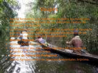 VaupésAporta formación a los habitantes de todos los municipios del departamento a través de sus diferentes Centros de Formación Profesional. La infraestructura con la que el SENA cuenta en el Vaupés le permite fortalecer todos los sectores económicos de las diferentes subregiones del departamento. Director Regional.Ventura Meléndez Urueta.Para contactar por este medio ingrese a Mi pregunta de acuerdo a sus requerimientos. Centros de Formación Profesional.Centro Agropecuario y de Servicios Ambientales Jirijirimo.