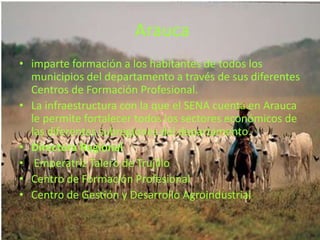 Arauca imparte formación a los habitantes de todos los municipios del departamento a través de sus diferentes Centros de Formación Profesional. La infraestructura con la que el SENA cuenta en Arauca le permite fortalecer todos los sectores económicos de las diferentes subregiones del departamento.Directora Regional Emperatriz Talero de Trujillo Centro de Formación ProfesionalCentro de Gestión y Desarrollo Agroindustrial.