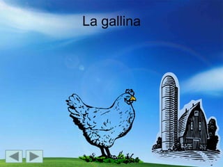 La gallina