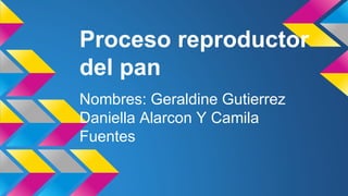 Proceso reproductor
del pan
Nombres: Geraldine Gutierrez
Daniella Alarcon Y Camila
Fuentes
 