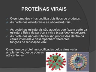 PROTEÍNAS VIRAIS
 O genoma dos vírus codifica dois tipos de produtos:
 As proteínas estruturais e as não-estruturais.
 As proteínas estruturais são aquelas que fazem parte da
estrutura física da partícula vírica (capsídeo, envelope),
 As proteínas não-estruturais são produzidas dentro da
célula infectada e desempenham diferentes
funções na replicação viral.
O número de proteínas codificadas pelos vírus varia
amplamente, desde poucas
até centenas.
 