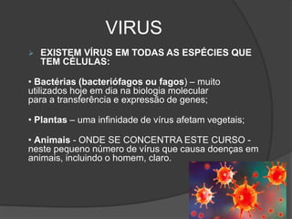 VIRUS
 EXISTEM VÍRUS EM TODAS AS ESPÉCIES QUE
TEM CÉLULAS:
• Bactérias (bacteriófagos ou fagos) – muito
utilizados hoje em dia na biologia molecular
para a transferência e expressão de genes;
• Plantas – uma infinidade de vírus afetam vegetais;
• Animais - ONDE SE CONCENTRA ESTE CURSO -
neste pequeno número de vírus que causa doenças em
animais, incluindo o homem, claro.
 