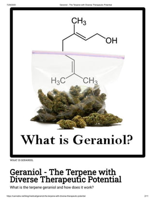 7/29/2020 Geraniol - The Terpene with Diverse Therapeutic Potential
https://cannabis.net/blog/medical/geraniol-the-terpene-with-diverse-therapeutic-potential 2/11
WHAT IS GERANIOL
Geraniol - The Terpene with
Diverse Therapeutic Potential
What is the terpene geraniol and how does it work?
 