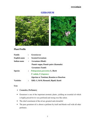 www.indg.in
1
G
GE
ER
RA
AN
NI
IU
UM
M
Plant Profile
Family : Geraniaceae
English name : Scented Geranium
Indian name : Geranium (Hindi)
Pannir soppu, Pannir patre (Kannada)
Geranium (Tamil)
Species : Pelargonium graveolens L. Herit
P. radula, P. fragrance
Algerian or Tunisian, Reunion or Bourbon
Varieties : KKL-1, Sel-8, Hemanti, Bipuli, Kunti
Uses
 Cosmetics, Perfumery
• Geranium is one of the important aromatic plants, yielding an essential oil which
is highly priced for its very profound and strong rose like odour.
• The chief constituent of the oil are geraniol and citronellol
• The pure geranium oil is almost a perfume by itself and blends well with all other
perfumes.
 
