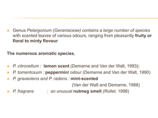  Genus Pelargonium (Geraniaceae) contains a large number of species
with scented leaves of various odours, ranging from pleasantly fruity or
floral to minty flovour
The numerous aromatic species,
 P. citronellum : lemon scent (Demarne and Van der Walt, 1993);
 P. tomentosum : peppermint odour (Demarne and Van der Walt, 1990)
 P. graveolens and P. radens : mint-scented
(Van der Walt and Demarne, 1988)
 P. fragrans : an unusual nutmeg smell (Rollet, 1998)
 