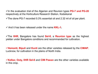 In the evaluation trial of the Algerian and Reunion types PG-7 and PG-20
respectively at the Horticulture Research Station, Kodaikanal
The clone PG-7 recorded 0.3% essential oil and 2.32 ml of oil per plant.
 And it has been released under the name KKL-1.
The IIHR, Bangalore has found Sel-8, a Reunion type as the highest
yielder under Bangalore conditions and recommanded for cultivation.
Hemanti, Bipuli and Kunti are the other varieties released by the CIMAP,
Lucknow, for cultivation in the plains of North India.
Kelkar, Ooty, IIHR Sel-8 and CIM Pawan are the other varieties available
in this crop.
 