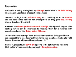 Propagation:
Geranium is easily propagated by cuttings; since there is no seed setting
in geranium, vegetative propagation is a must.
Terminal cuttings about 10-20 cm long and consisting of about 8 nodes
are the best suited material for propagation, as they give 80% rooting
even without any treatment.
However the middle portion and basal cuttings are reported to give poor
rooting, which can be improved by treating them for 6 minutes with
growth regulators like IBA or IAA at 200 ppm.
The transplanted cuttings have a characteristic initial slow growth and
are susceptible to weed competition during this lag phase leading to yield
losses (Rajeswara Rao and Bhattacharya, 1997)
Rao et al. (1988) found 60×45 cm spacing to be optimum for obtaining
high yields of rose-scented geranium in Bangalore plains.
 