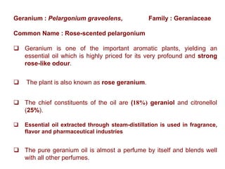 Geranium : Pelargonium graveolens, Family : Geraniaceae
Common Name : Rose-scented pelargonium
 Geranium is one of the important aromatic plants, yielding an
essential oil which is highly priced for its very profound and strong
rose-like odour.
 The plant is also known as rose geranium.
 The chief constituents of the oil are (18%) geraniol and citronellol
(25%).
 Essential oil extracted through steam-distillation is used in fragrance,
flavor and pharmaceutical industries
 The pure geranium oil is almost a perfume by itself and blends well
with all other perfumes.
 