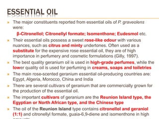 ESSENTIAL OIL
 The major constituents reported from essential oils of P. graveolens
were:
β-Citronellol; Citronellyl formate; Isomenthone; Eudesmol etc.
 Their essential oils possess a sweet rose-like odour with various
nuances, such as citrus and minty undertones. Often used as a
substitute for the expensive rose essential oil, they are of high
importance in perfumery and cosmetic formulations (Gilly, 1997).
 The best quality geranium oil is used in high-grade perfumes, while the
lower quality oil is used for perfuming in creams, soaps and toiletries
 The main rose-scented geranium essential oil-producing countries are:
Egypt, Algeria, Morocco, China and India
 There are several cultivars of geranium that are commercially grown for
the production of the essential oil.
 The important cultivars of geranium are the Reunion Island type, the
Egyptian or North African type, and the Chinese type
 The oil of the Reunion Island type contains citronellol and geraniol
(1:1) and citronellyl formate, guaia-6,9-diene and isomenthone in high
 