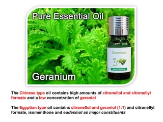The Chinese type oil contains high amounts of citronellol and citronellyl
formate and a low concentration of geraniol
The Egyptian type oil contains citronellol and geraniol (1:1) and citronellyl
formate, isomenthone and eudesmol as major constituents
 