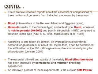 CONTD….
 There are few research reports about the essential oil compositions of
three cultivars of geranium from India that are known by the names
 Bipuli (intermediate to the Reunion Island and Egyptian types),
 Hemanti (similar to the Chinese type) and a third type, Kunti, whose oil
is rich in geraniol (40-50%) and poor in citronellol (1-10%) compared to
Reunion Island type (Kaul et al. 1995; Mallavarapu et al., 1993)
 According to one report by Jensen, an average annual worldwide
demand for geranium oil of about 600 metric tons, it can be determined
that 499 million of the 500 million geranium plants harvested yearly for
oil production (Jensen, 2004)
 The essential oil yield and quality of the variety Bipuli (Bourbon type)
has been improved by somaclonal and mutation breeding
approaches.
 An improved product of these experiments is the cultivar “CIM Pawan”
 