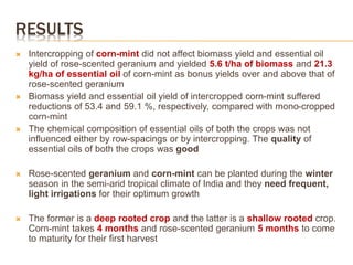 RESULTS
 Intercropping of corn-mint did not affect biomass yield and essential oil
yield of rose-scented geranium and yielded 5.6 t/ha of biomass and 21.3
kg/ha of essential oil of corn-mint as bonus yields over and above that of
rose-scented geranium
 Biomass yield and essential oil yield of intercropped corn-mint suffered
reductions of 53.4 and 59.1 %, respectively, compared with mono-cropped
corn-mint
 The chemical composition of essential oils of both the crops was not
influenced either by row-spacings or by intercropping. The quality of
essential oils of both the crops was good
 Rose-scented geranium and corn-mint can be planted during the winter
season in the semi-arid tropical climate of India and they need frequent,
light irrigations for their optimum growth
 The former is a deep rooted crop and the latter is a shallow rooted crop.
Corn-mint takes 4 months and rose-scented geranium 5 months to come
to maturity for their first harvest
 