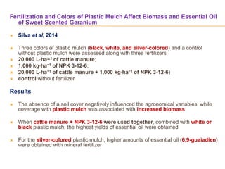 Fertilization and Colors of Plastic Mulch Affect Biomass and Essential Oil
of Sweet-Scented Geranium
 Silva et al, 2014
 Three colors of plastic mulch (black, white, and silver-colored) and a control
without plastic mulch were assessed along with three fertilizers
 20,000 L⋅ha−1 of cattle manure;
 1,000 kg⋅ha−1 of NPK 3-12-6;
 20,000 L⋅ha−1 of cattle manure + 1,000 kg⋅ha−1 of NPK 3-12-6)
 control without fertilizer
Results
 The absence of a soil cover negatively influenced the agronomical variables, while
coverage with plastic mulch was associated with increased biomass
 When cattle manure + NPK 3-12-6 were used together, combined with white or
black plastic mulch, the highest yields of essential oil were obtained
 For the silver-colored plastic mulch, higher amounts of essential oil (6,9-guaiadien)
were obtained with mineral fertilizer
 