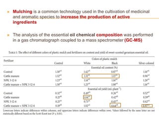  Mulching is a common technology used in the cultivation of medicinal
and aromatic species to increase the production of active
ingredients
 The analysis of the essential oil chemical composition was performed
in a gas chromatograph coupled to a mass spectrometer (GC-MS)
 